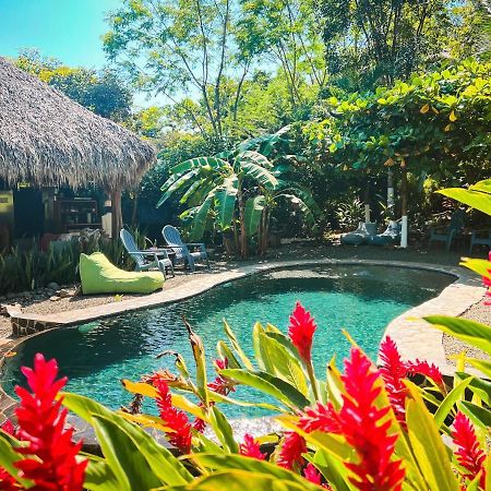 Glamping Hotel Flor Y Bambu Playa Grande Zewnętrze zdjęcie