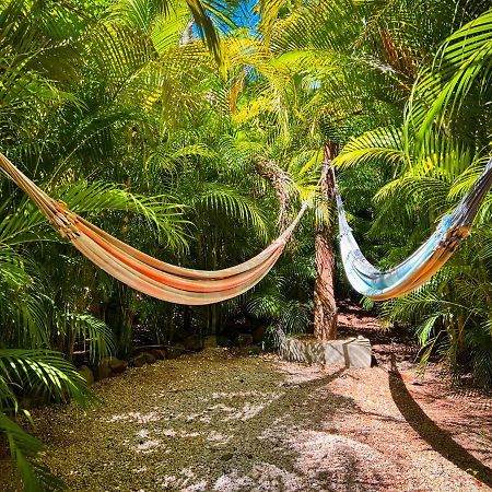 Glamping Hotel Flor Y Bambu Playa Grande Zewnętrze zdjęcie