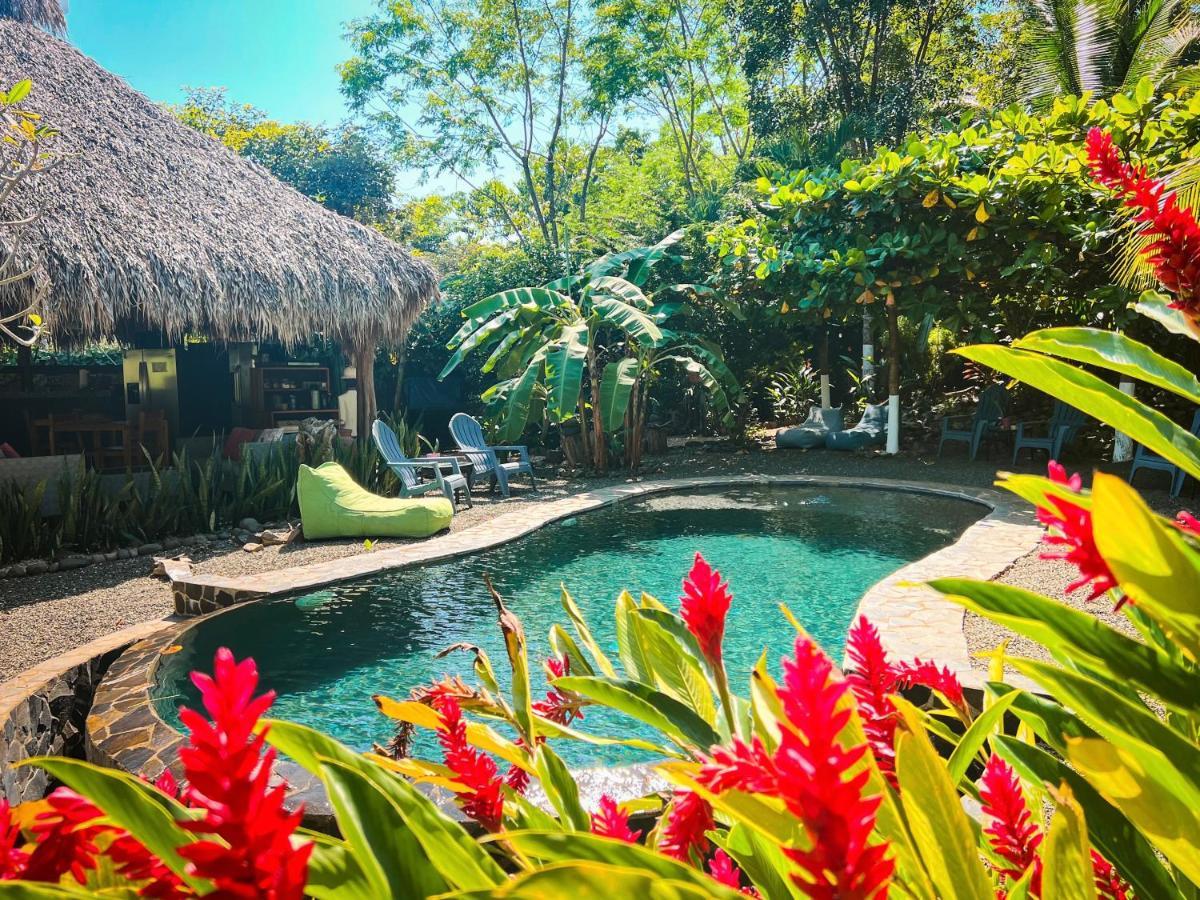 Glamping Hotel Flor Y Bambu Playa Grande Zewnętrze zdjęcie