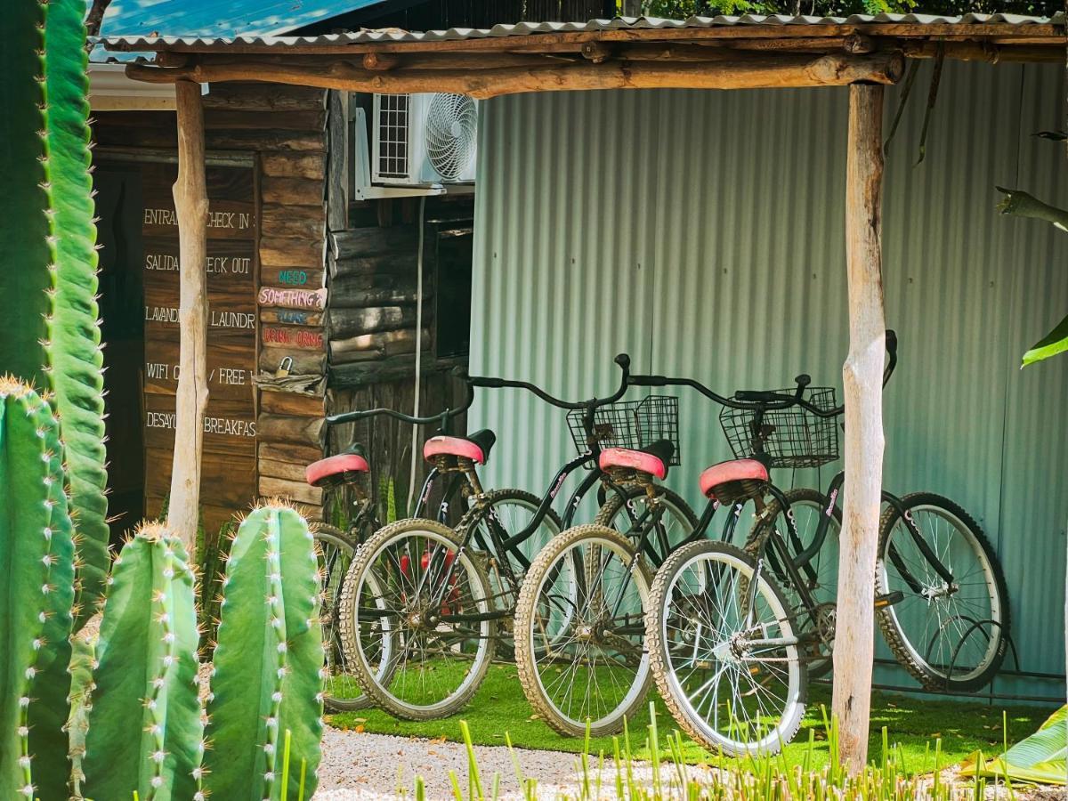 Glamping Hotel Flor Y Bambu Playa Grande Zewnętrze zdjęcie