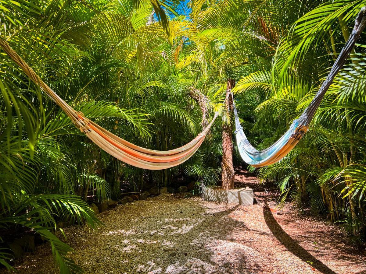 Glamping Hotel Flor Y Bambu Playa Grande Zewnętrze zdjęcie