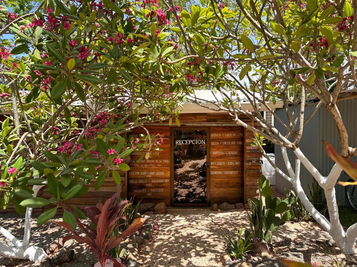 Glamping Hotel Flor Y Bambu Playa Grande Zewnętrze zdjęcie