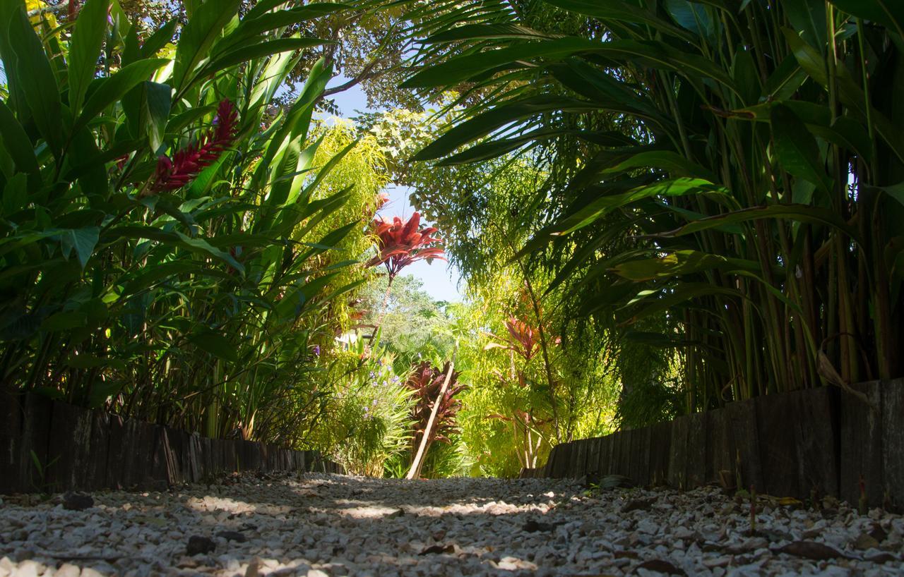 Glamping Hotel Flor Y Bambu Playa Grande Zewnętrze zdjęcie