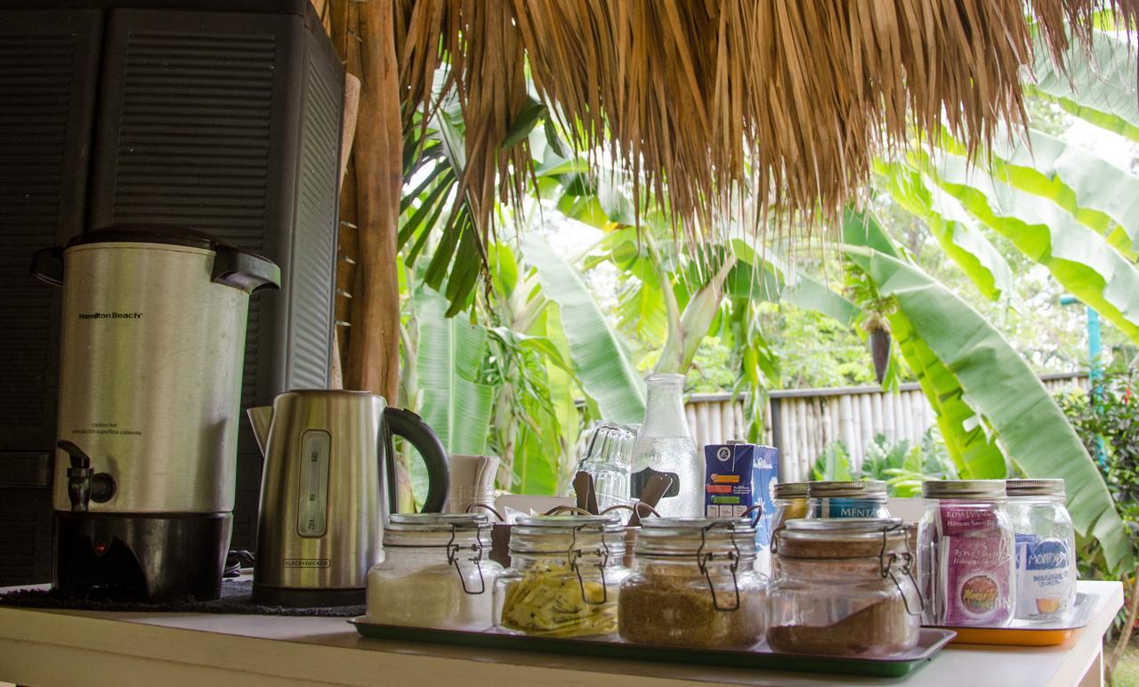 Glamping Hotel Flor Y Bambu Playa Grande Zewnętrze zdjęcie