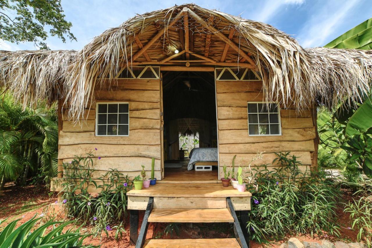 Glamping Hotel Flor Y Bambu Playa Grande Zewnętrze zdjęcie