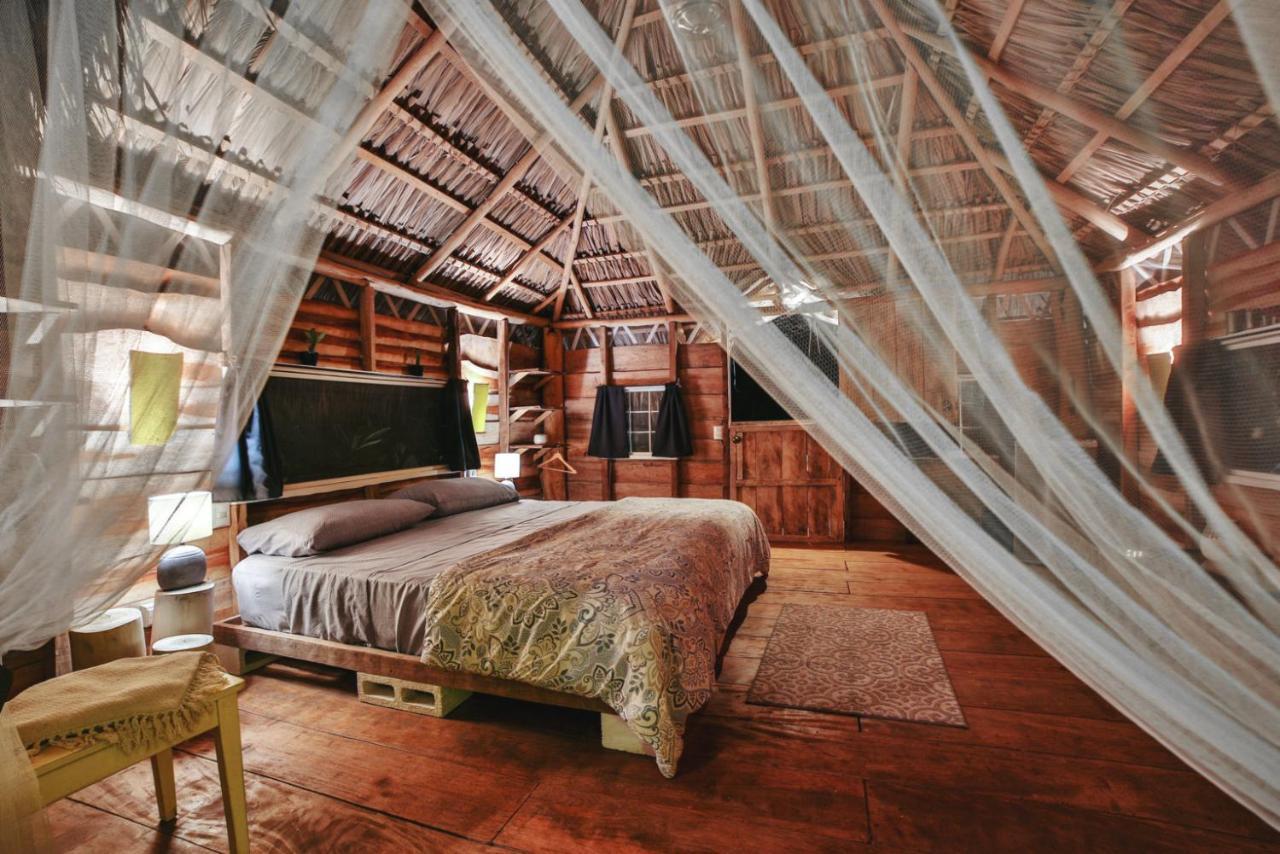 Glamping Hotel Flor Y Bambu Playa Grande Zewnętrze zdjęcie