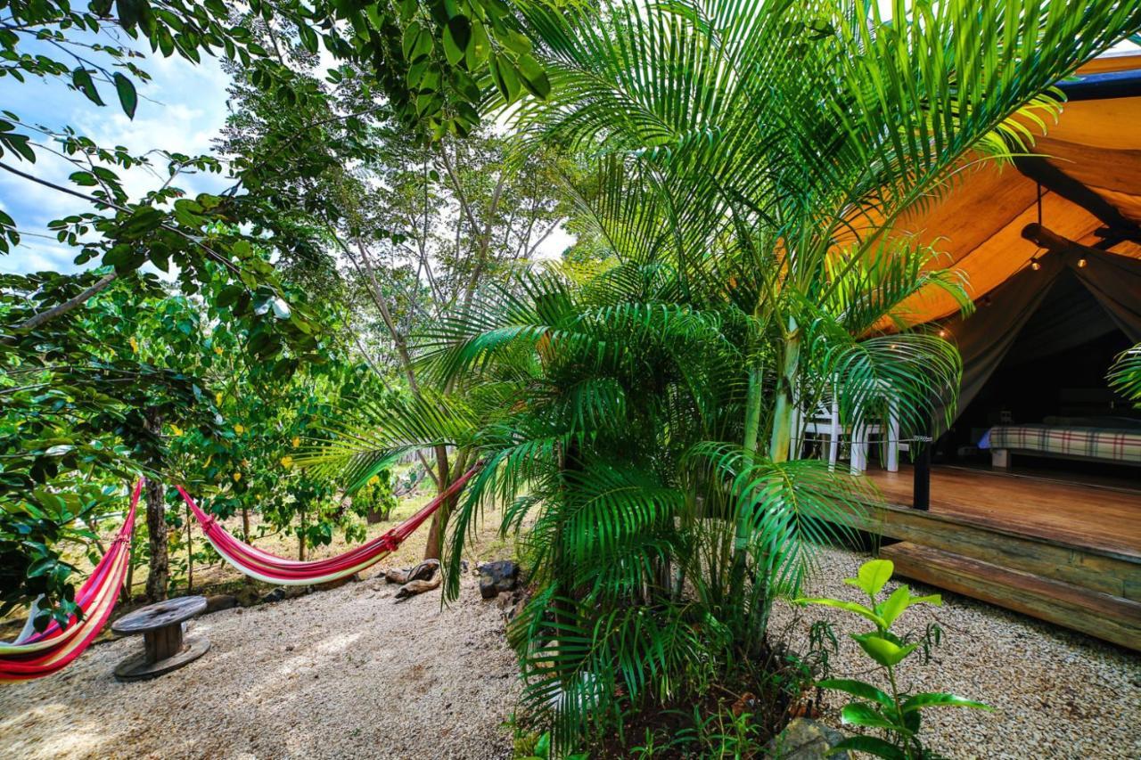 Glamping Hotel Flor Y Bambu Playa Grande Zewnętrze zdjęcie